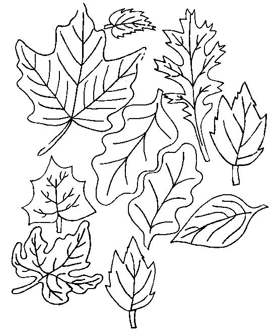 Plansa de colorat cu Toamna 154 62